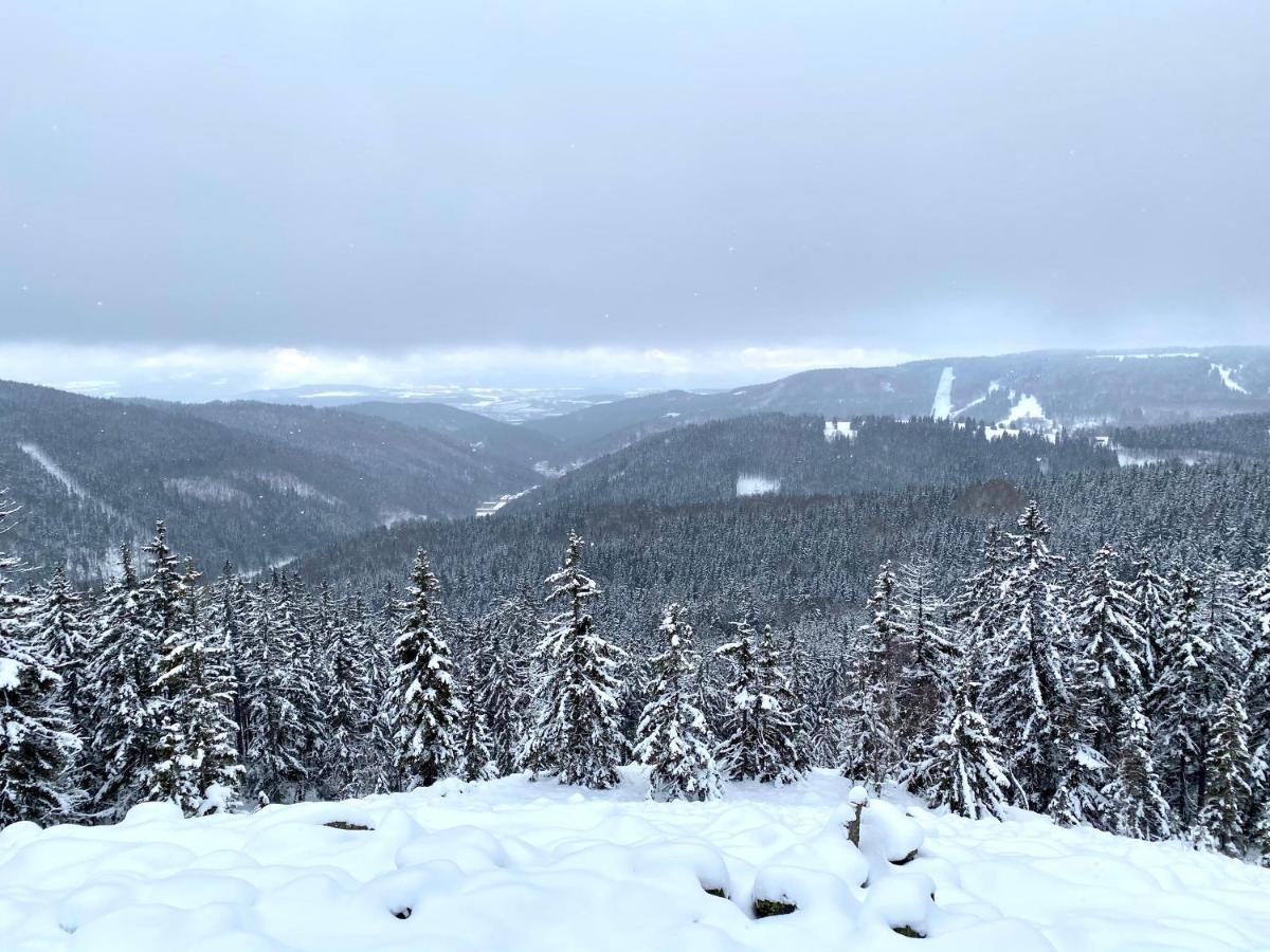 Vila Jáchymov Esterno foto
