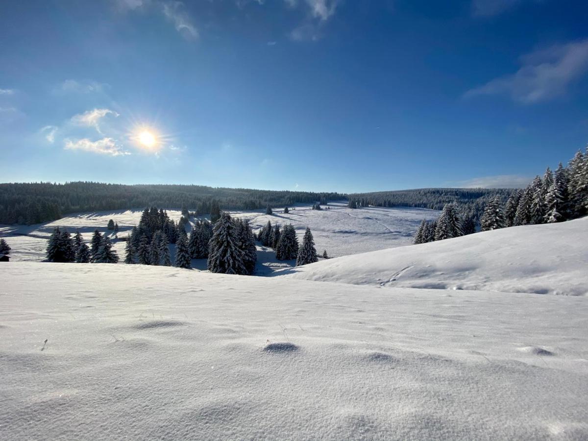 Vila Jáchymov Esterno foto