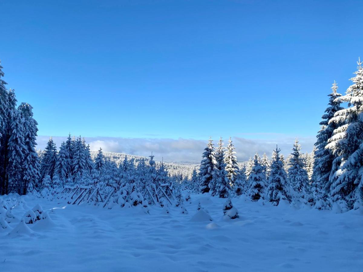 Vila Jáchymov Esterno foto