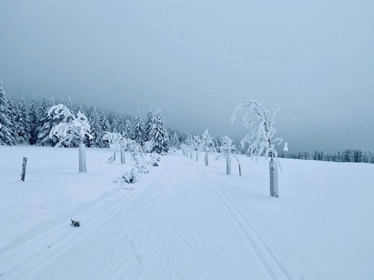 Vila Jáchymov Esterno foto